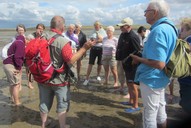 Reisegruppe mit Wattführer bei der Erklärung des Quellers.