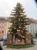 Weihnachtstanne auf dem Marktplatz von Bautzen Dez. 2018