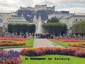Grosse  Begeisterung im Mirabellgarten von Salzburg